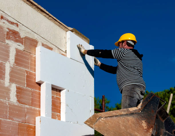 Best Insulation Removal Services  in De Kal, TX