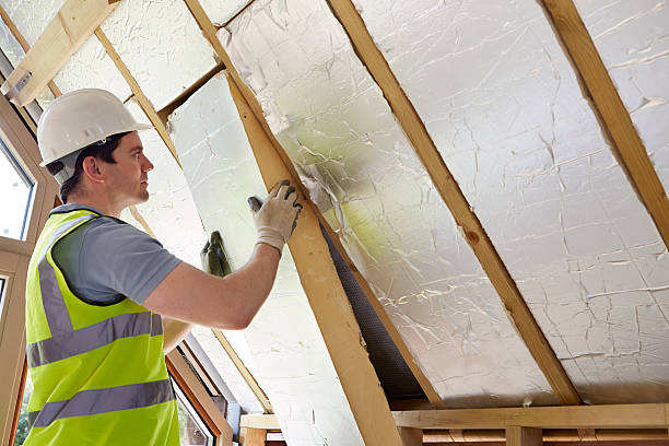Best Spray Foam Insulation  in De Kal, TX