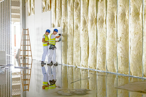 Best Home Insulation Services  in De Kal, TX